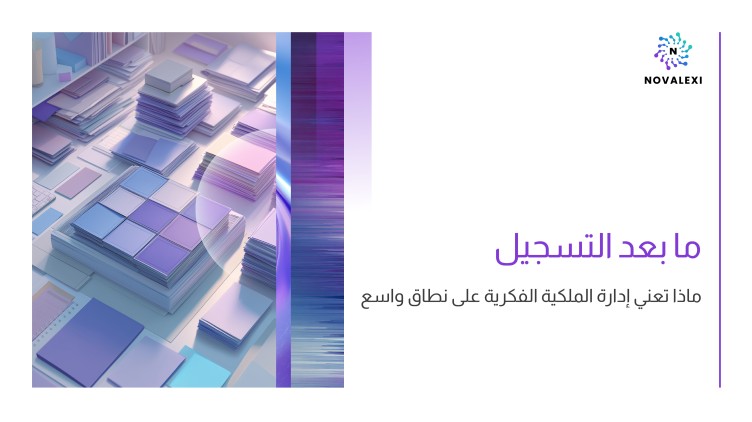 ما بعد التسجيل: ماذا تعني إدارة الملكية الفكرية على نطاق واسع